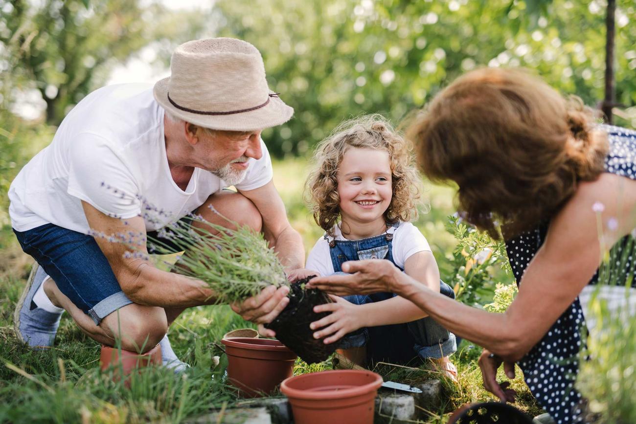 Financial Estate Planning and Services | Patriot Capital